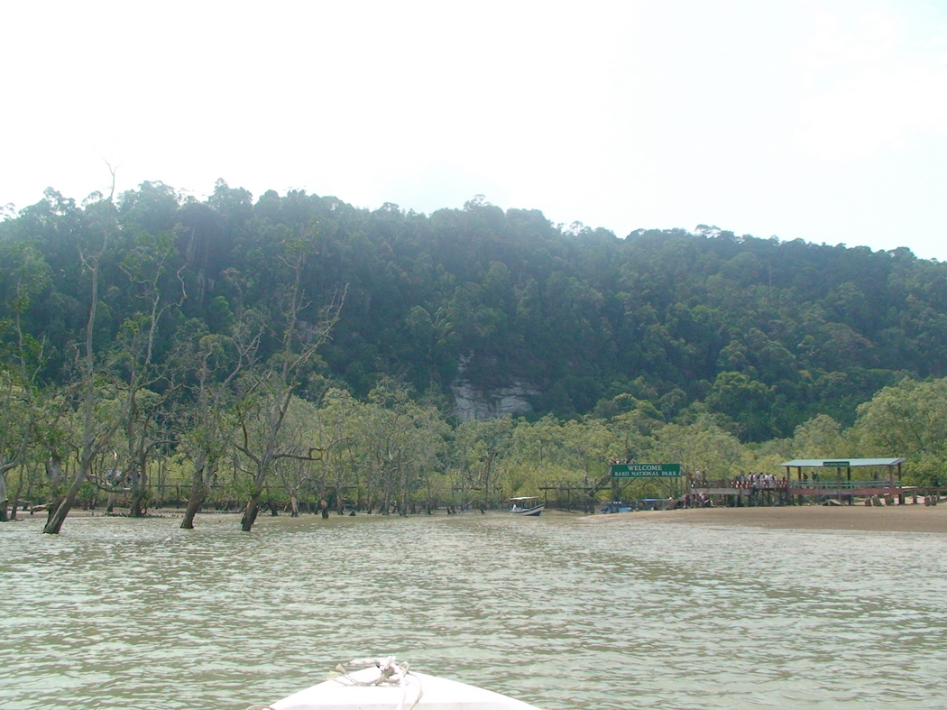 Borneo1 (20).JPG